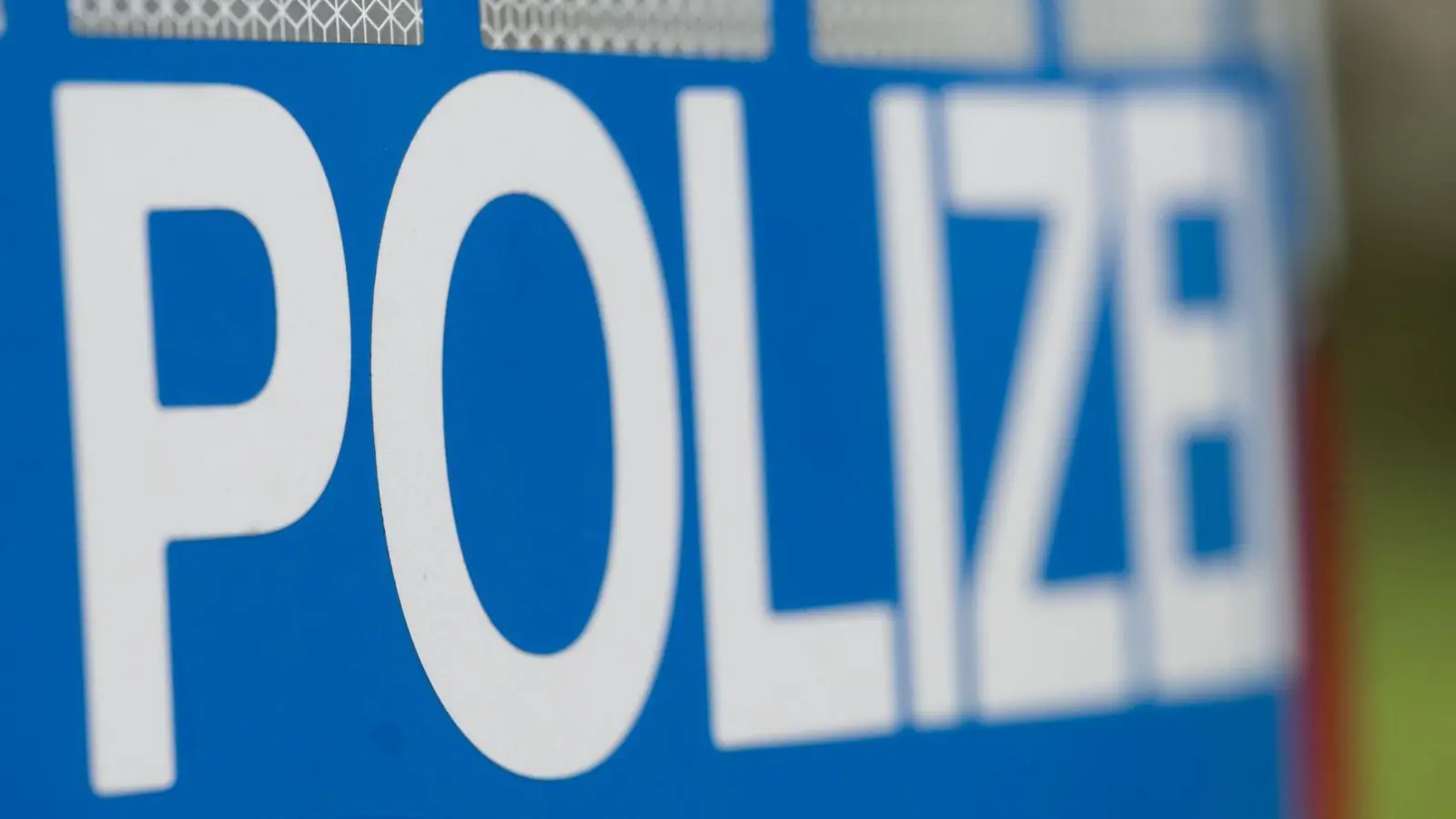 Die Polizei stellte die beiden jungen Männer. (Symbolbild) (Foto: Marijan Murat/dpa)