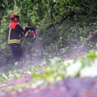 Die Feuerwehr räumt die bayerischen Straßen nach dem Unwetter wieder frei. (Foto: Pia Bayer/dpa)