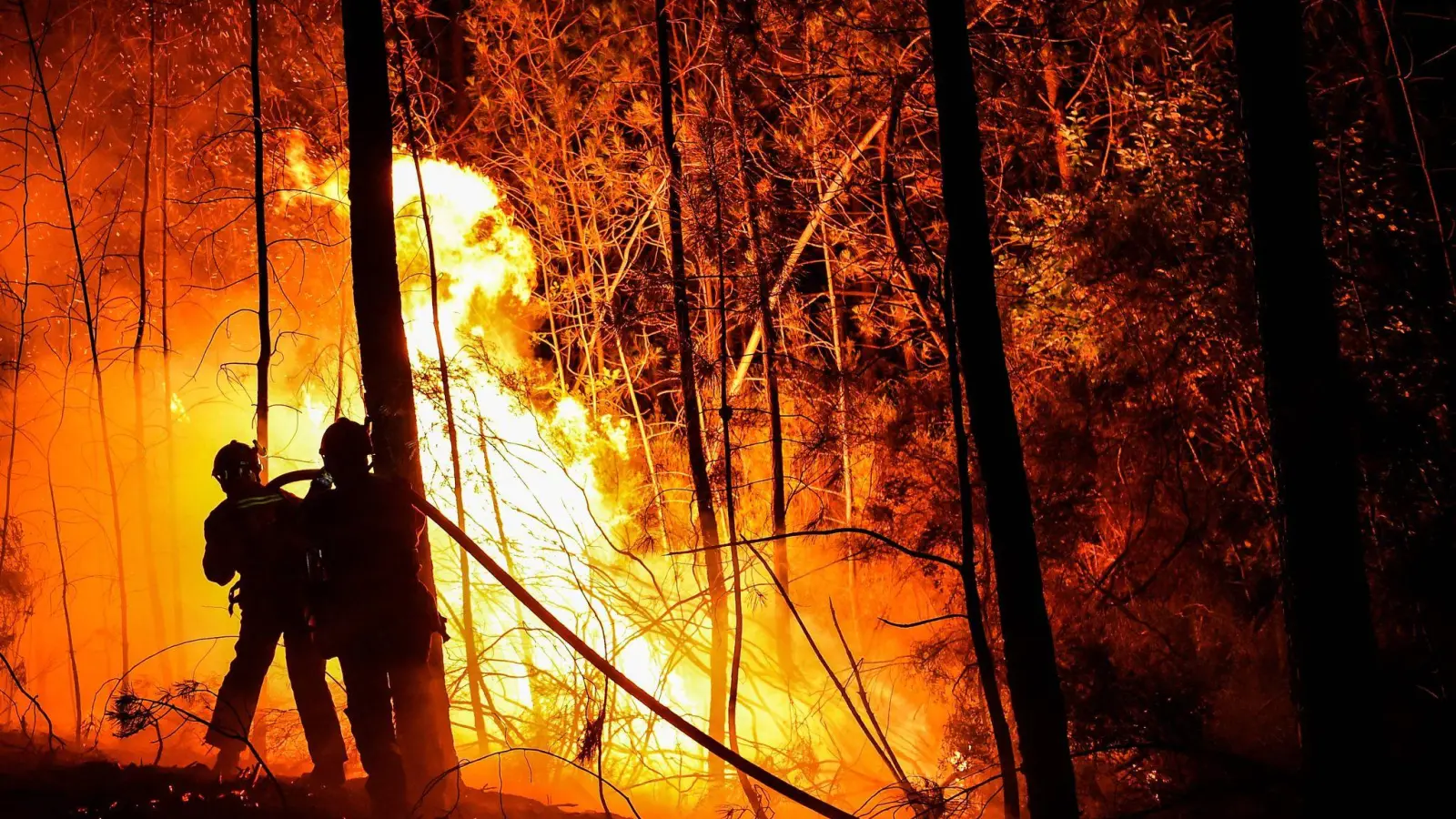 Feuerwehrleute bekämpfen einen Waldbrand. Angesichts der aktuellen Gefahren wegen der Trockenheit, hat die Regierung für das Wochenende Beobachtungsflüge angeordnet. (Symbolbild: Sylvain Thomas/AFP/dpa)