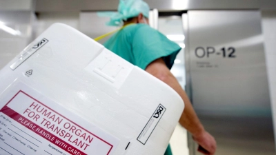 Ein Styropor-Behälter zum Transport von zur Transplantation vorgesehenen Organen. (Foto: Soeren Stache/dpa)