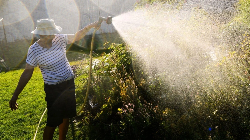 Wasser wird zunehmend zum kostbaren Gut, auch in Westmittelfranken. Zum Gießen tut es auch Regenwasser. (Symbolbild: Julian Stratenschulte/dpa)