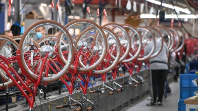 Lieferengpässe gehören der Vergangenheit an - dafür kämpft die Fahrradbranche mit neuen Problemen. (Foto: Heiko Rebsch/dpa)