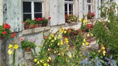 Im Frühjahr kann man wieder für viel Leben im Grünen sorgen. Der Garten von Kurt Maag in Herrieden etwa ist ein Musterbeispiel für liebevolle und bienenfreundliche Gestaltung. (Foto: Christian Treffer)