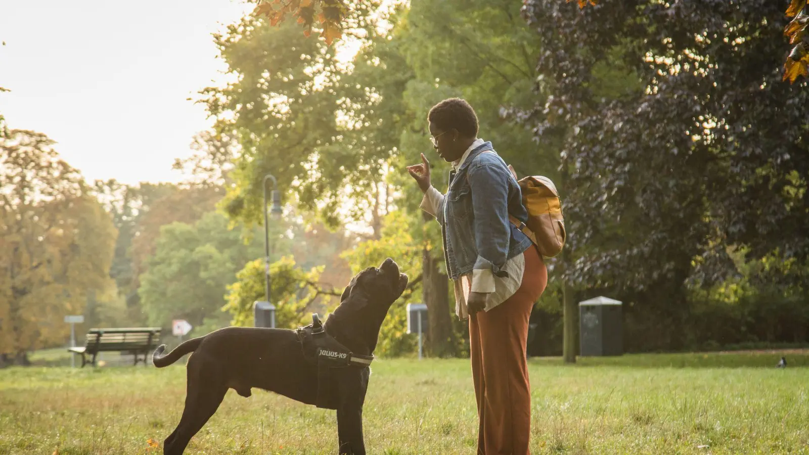 Hört aufs Wort: Hundeerziehung ist kein Selbstläufer, man muss etwas dafür tun. (Foto: Christin Klose/dpa-tmn)