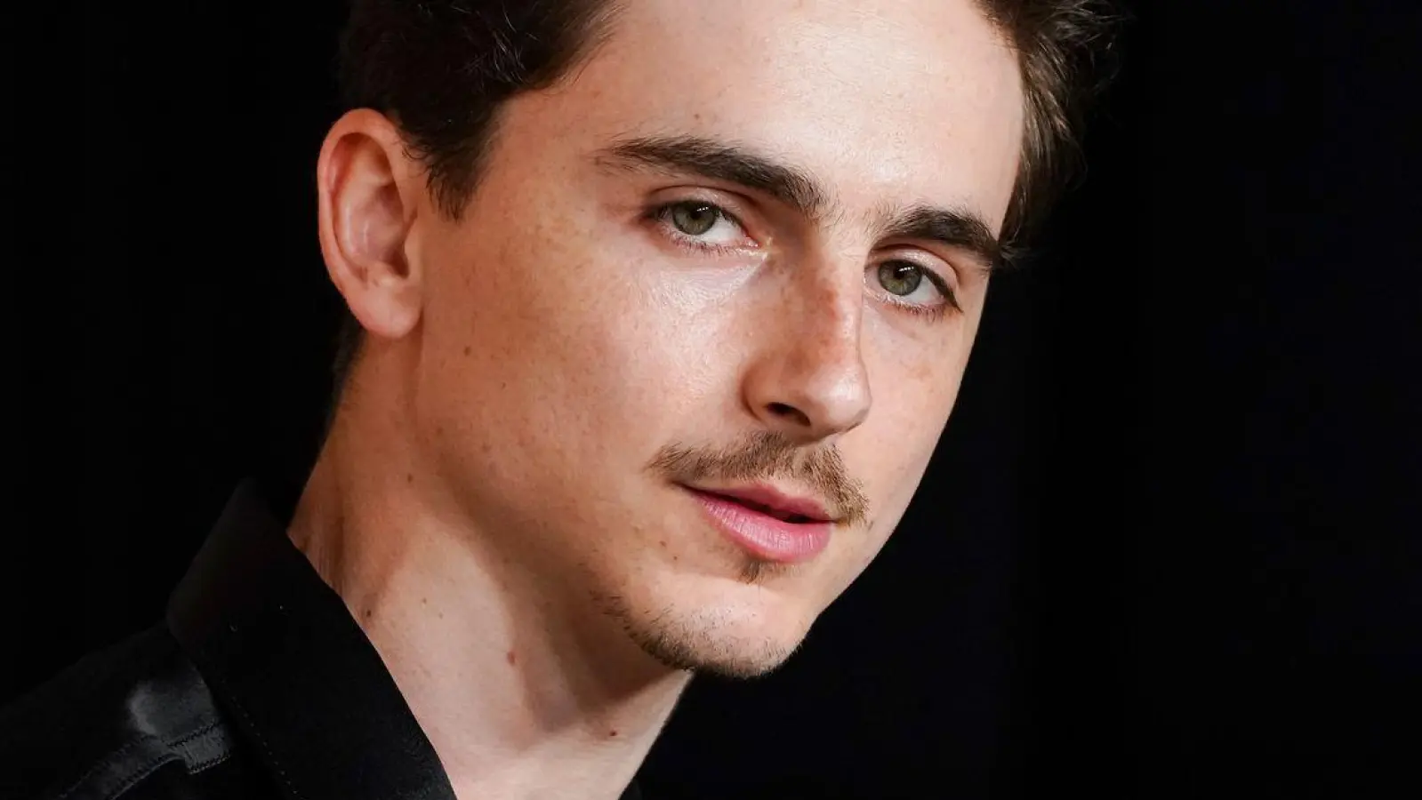 Timothée Chalamet gilt aktuell als einer der gefragtesten Schauspieler Hollywoods (Archivbild). (Foto: Jordan Strauss/Invision/dpa)