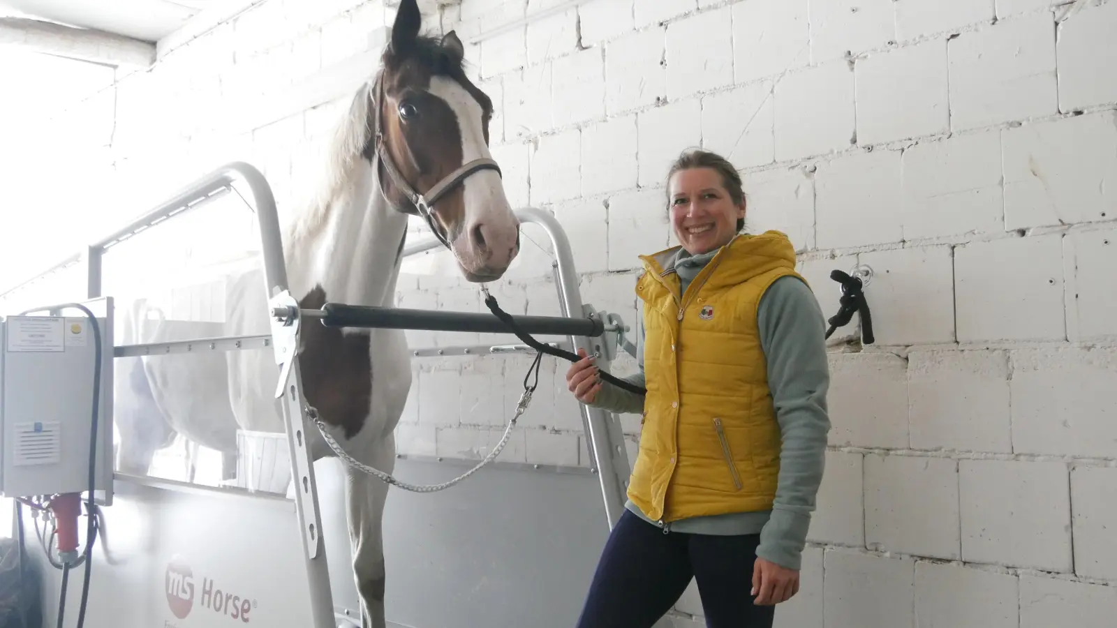 Nils läuft sich auf dem Laufband warm, während Michaela Hohlstein ihr Konzept für das Pferdezentrum NEA erläutert. (Foto: Ulli Ganter)