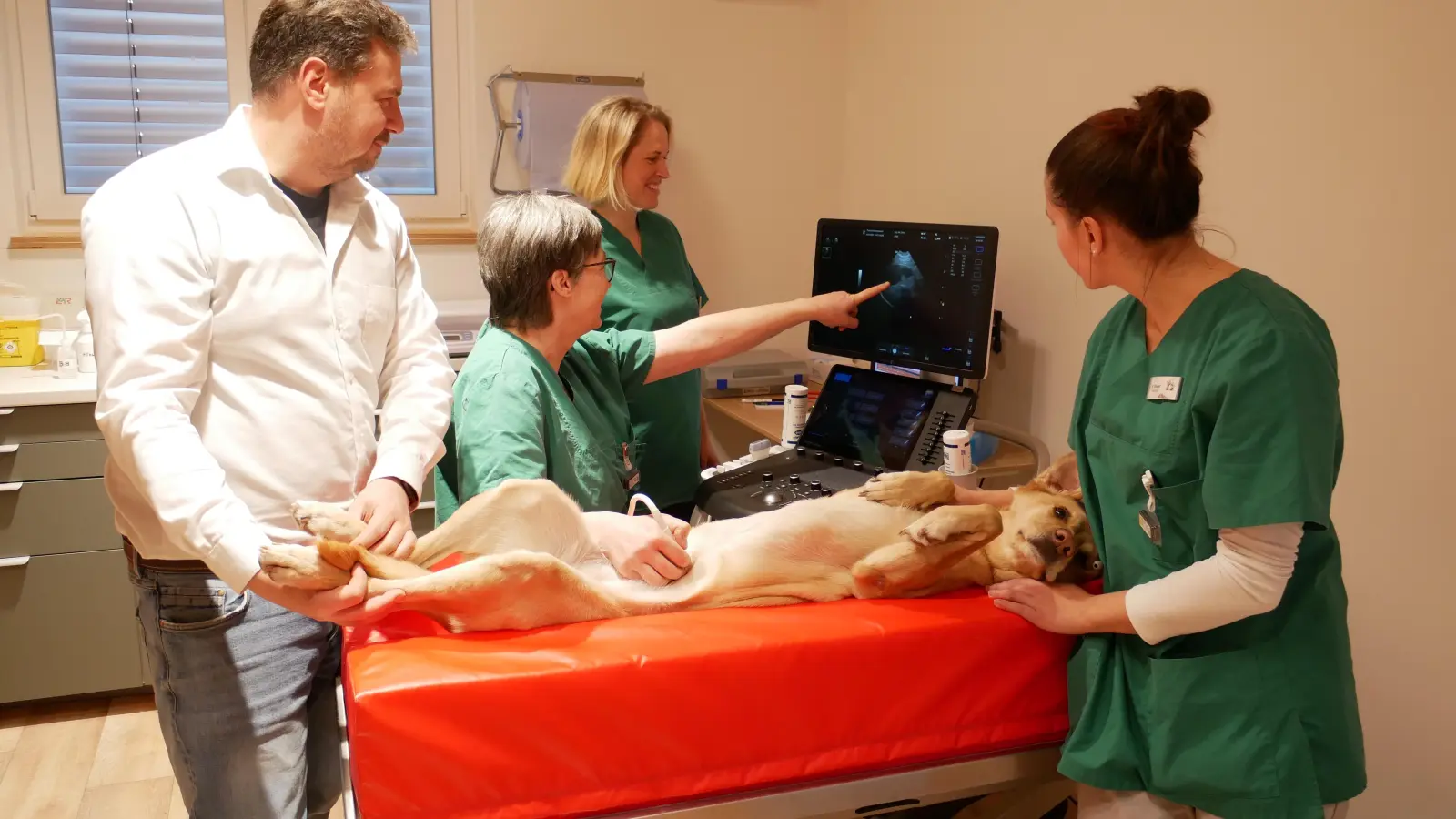 Die Mischlingshündin Fili wird in der Tierklinik Dinkelsbühl gut versorgt. Damit der 24-Stunden-Notdienst klappt, dafür sorgen Geschäftsführer Philipp M. W. Hörber, medizinische Leiterin Dr. Jutta Lauer, Obertierärztin Dr. Theresa Conze, und Sophie Rieger, Assistenztierärztin (von links). (Foto: Lisa-Maria Liebing)