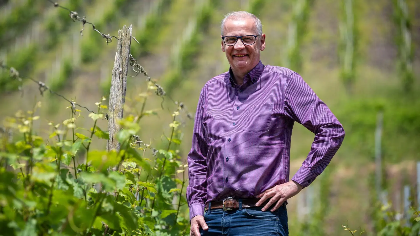 In den Weinbergen wächst ausschließlich Riesling. (Foto: Harald Tittel/dpa)
