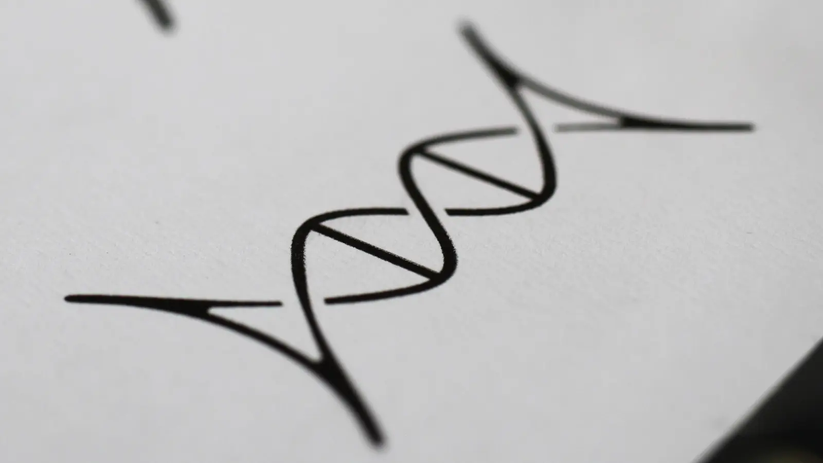 Das „TwinWin”-Symbol ist eine Kombination aus dem Sternzeichen Zwilling und einem DNA-Strang. (Foto: Constantin Prosch)