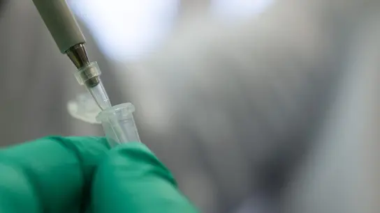 Ein Forscher bereitet im Landesgesundheitsamt Baden-Württemberg einen PCR-Test für die Analyse auf Mutationen des Coronavirus vor. (Foto: Sebastian Gollnow/dpa)