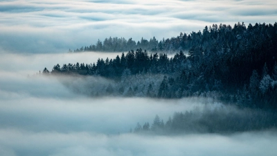 Stille Schönheit im Bayerischen Wald. Niederbayern und die Oberpfalz verzeichneten in der Tourismusbilanz 2025 den größten Gästezuwachs. (Archiv)  (Foto: Armin Weigel/dpa)