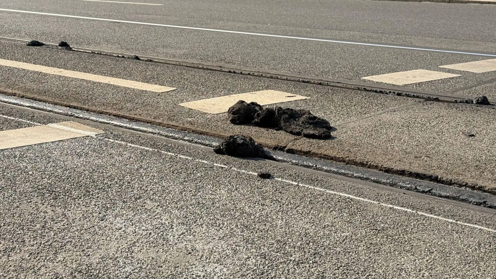 Die Hitze hat den Straßenbelag der VAG zufolge an manchen Stellen so weich werden lassen, dass die Straßenbahnen nicht mehr sicher fahren können.  (Foto: Irena Güttel/dpa)