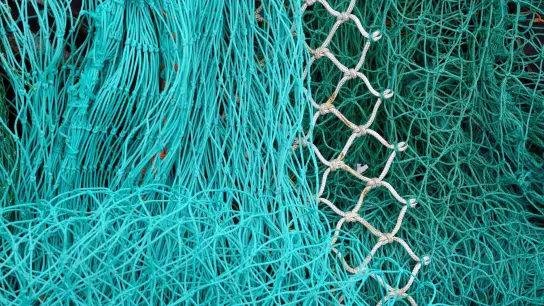 Grundschleppnetze stehen in der Kritik, weil der Meeresboden durch das Fanggerät erheblich beschädigt werden kann (Symbolbild). (Foto: Ralf Hirschberger/dpa)