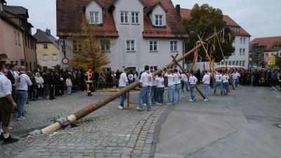 Die Klästerer Kerwabuum und -madli stellten den 25 Meter hohen Kirchweihbaum auf. (Foto: Alexander Biernoth)