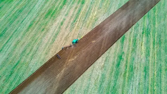 Ein Traktor zieht Pflug und Egge über ein abgeerntetes Feld. (Foto: Jens Büttner/dpa-Zentralbild/dpa/Symbolbild)