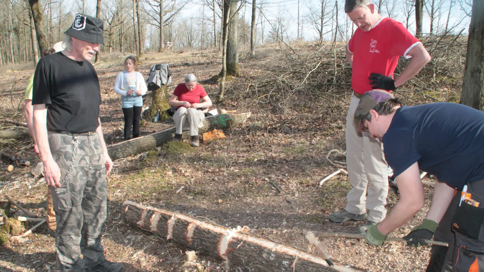 Mit dem Nachbau eines steinzeitlichen Dechsels versuchen die Wissenschaftler, aus einer Eiche die Schlitzpfosten zum Nachbau eines über 7000 Jahre alten Brunnens herauszuarbeiten. (Foto: Hans-Bernd Glanz)