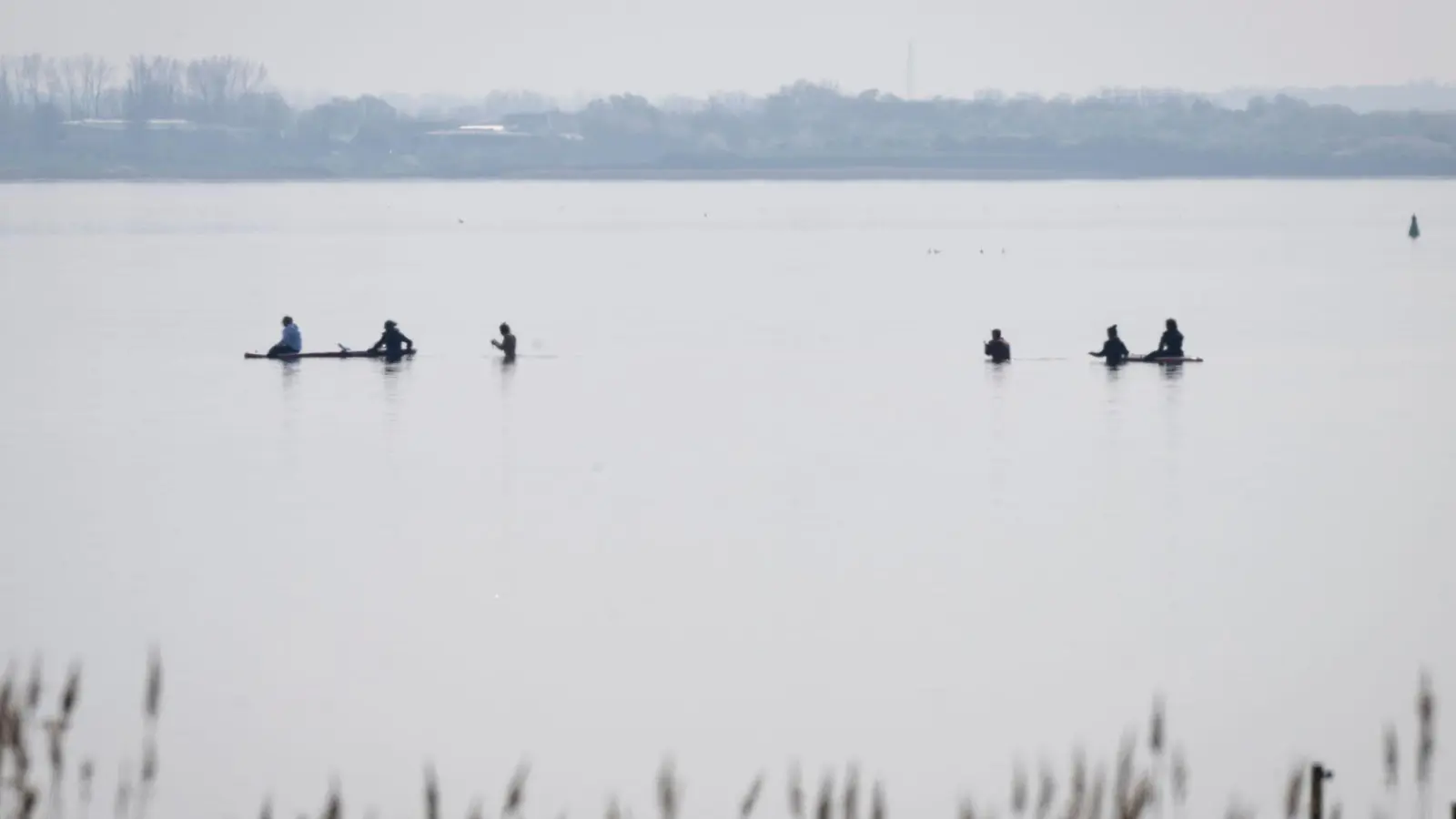Am Freitag wird die Rettungsaktion für den gestrandeten Buckelwal fortgesetzt. (Foto: Philip Dulian/dpa)