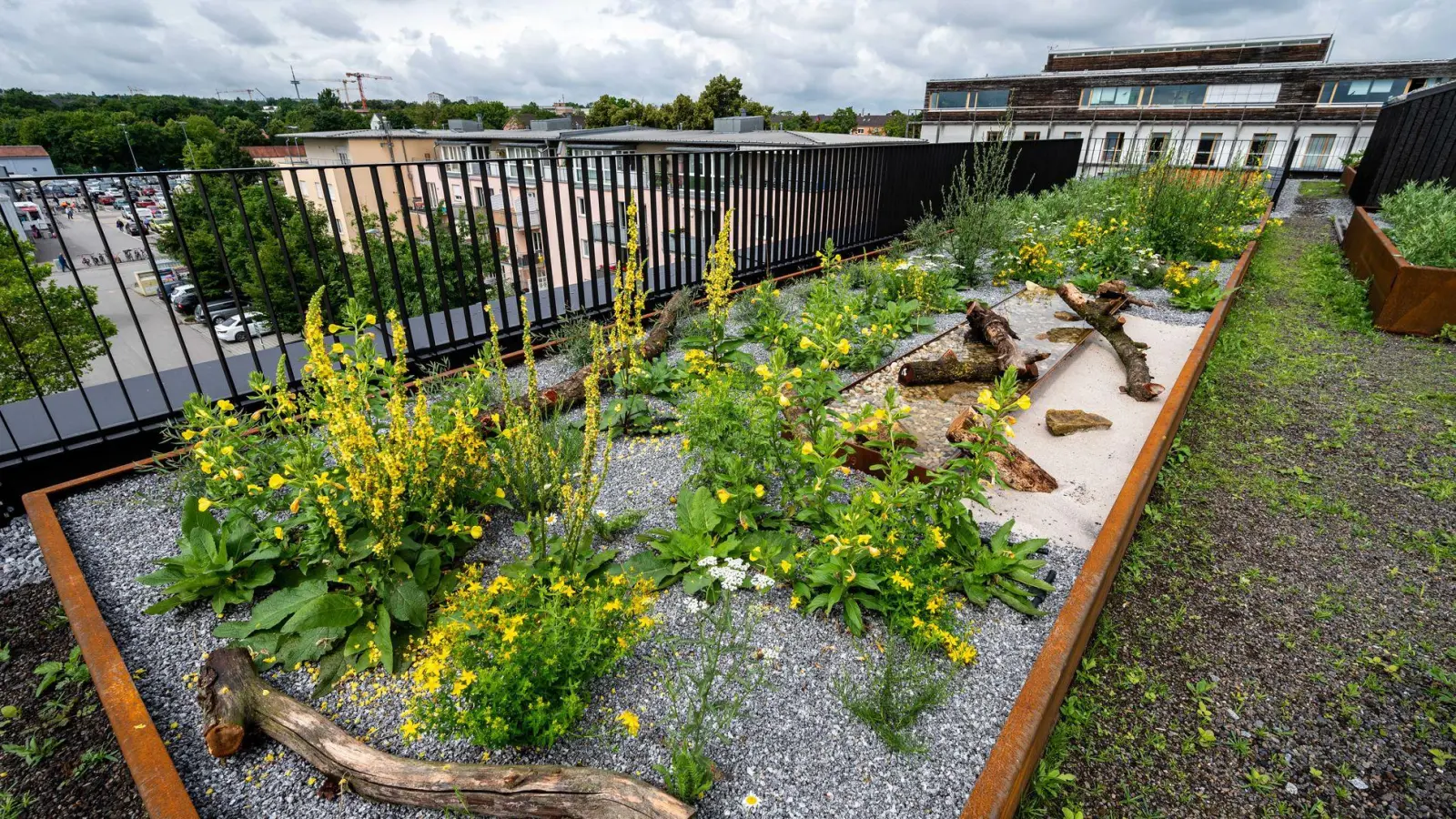 Klimaschutz ist oft teuer - in Zeiten angespannter Finanzlagen sind auch die Kommunen auf Fördergelder angewiesen. Doch sehr oft werden die Anträge in Bayern wegen Geldmangels abgelehnt. (Archivbild) (Foto: Armin Weigel/dpa/dpa-tmn)