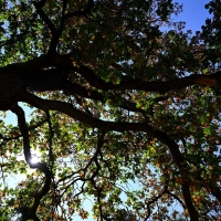 Das Wetter in Bayern bleibt durchwachsen. (Archivbild) (Foto: A4366 Sven Hoppe/dpa)