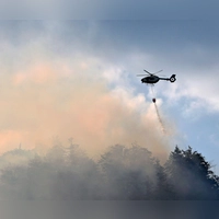 In den Chiemgauer Alpen brennt der Wald am Berg. (Foto: Uwe Lein/dpa)