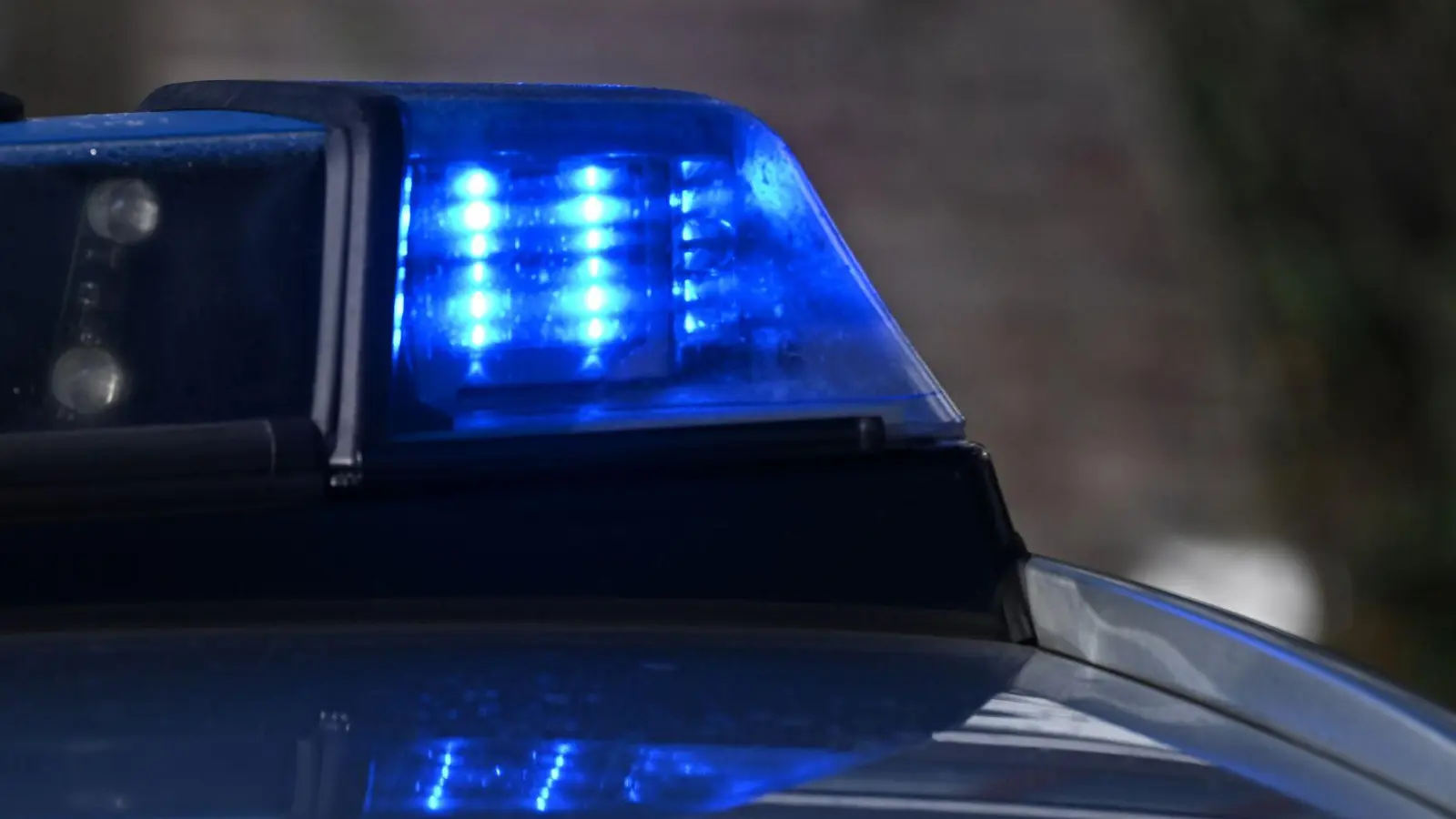 Der Hund wurde von einem 22-Jährigen aus München in dem aufgeheizten Fahrzeug entdeckt. (Symbolbild) (Foto: Bernd Weißbrod/dpa)