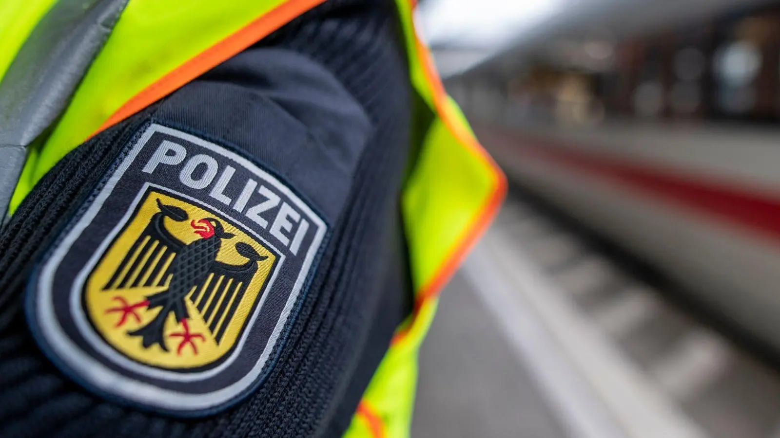Der Verdächtige soll versucht haben, die Beamten in dem Zug zu beißen. (Symbolbild) (Foto: Patrick Seeger/dpa)