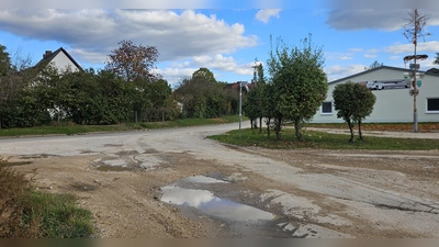 Der Stadtrat von Ornbau hat relativ spontan entschieden, einen Teil der Weidenbacher Straße heuer noch instand setzen zu lassen. (Foto: Wolfgang Grebenhof)
