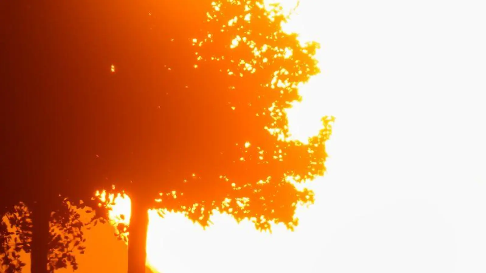 Hitze in Deutschland: Tage mit extremer Belastung werden häufiger. (Foto: Julian Stratenschulte/dpa)