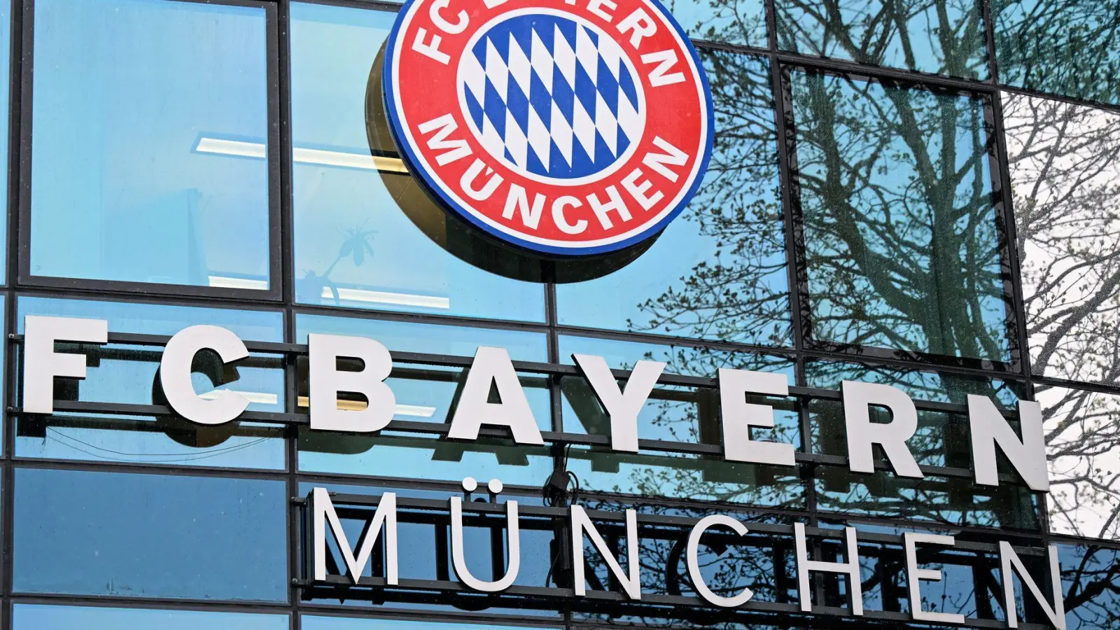 Michael Diekmann rückt in den Aufsichtsrat des FC Bayern. (Archivbild) (Foto: Sven Hoppe/dpa)