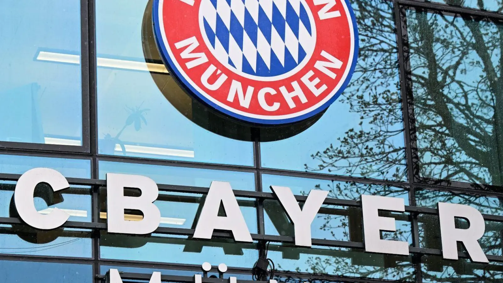 Das Logo vom FC Bayern München ist am Vereinsgelände an der Säbener Straße zu sehen. (Foto: Sven Hoppe/dpa)