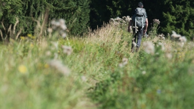 Ein Wanderer geht in der Nähe von Altenau im Oberharz über einen schmalen, zugewachsenen Wanderweg. Häufig nutzen Menschen illegale Wanderwege, die sie in Apps finden. (Foto: picture alliance / Swen Pförtner/dpa)