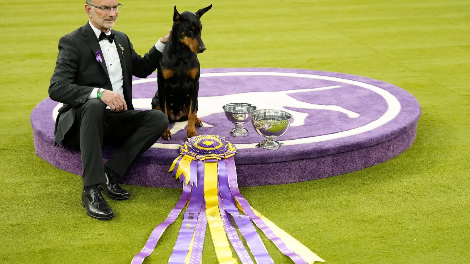„Penny“, die Dobermann-Dame, ist die 42. weibliche Gewinnerin in der 150 Jahre alten Geschichte des Westminster-Hundewettbewerbs.  (Foto: Yuki Iwamura/AP/dpa)