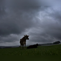 Am Dienstag soll es viel Regen und einzelne Gewitter geben. (Archivbild) (Foto: Karl-Josef Hildenbrand/dpa)