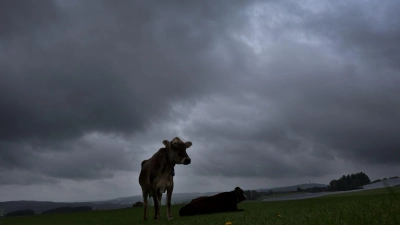 Am Dienstag soll es viel Regen und einzelne Gewitter geben. (Archivbild) (Foto: Karl-Josef Hildenbrand/dpa)