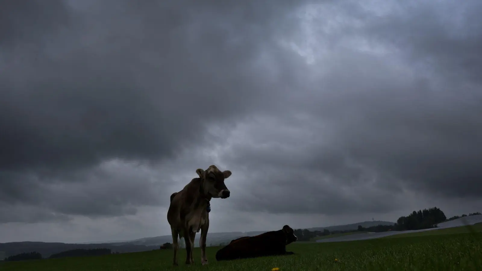 Am Dienstag soll es viel Regen und einzelne Gewitter geben. (Archivbild) (Foto: Karl-Josef Hildenbrand/dpa)