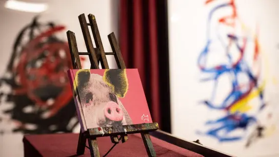 Die Werke des in Südafrika lebenden Schweins „Pigcasso“ wurden bereits in London und Amsterdam ausgestellt. Jetzt kommen sie nach Hann.Münden. (Foto: Swen Pförtner/dpa)