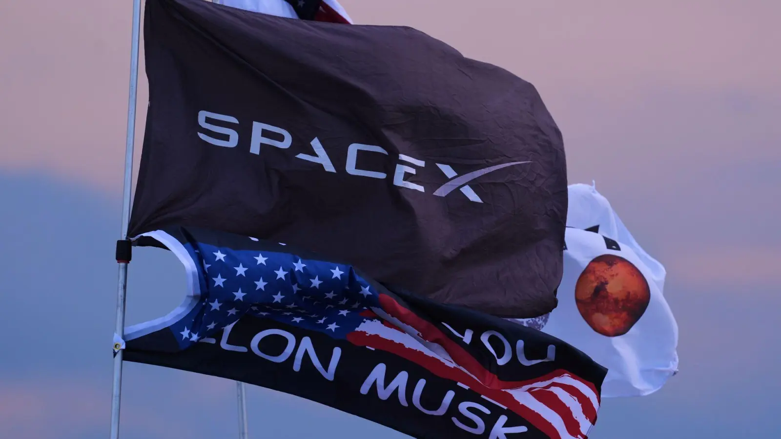 SpaceX und Tesla prüfen einen Zusammenschluss. (Archivbild) (Foto: Eric Gay/AP/dpa)