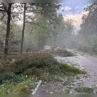 Die Feuerwehr musste in der Region rund um Nürnberg mehr als 1.000 Mal ausrücken.  (Foto: News5 / Ferdinand Merzbach/NEWS5/dpa)