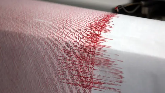 Ein Seismograph schlägt aus. (Symbolbild) (Foto: Oliver Berg/dpa)