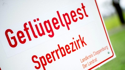 Auch im Augsburger Zoo wurde nun Geflügelpest nachgewiesen, der Zoo bleibt aber offen. (Symbolbild) (Foto: Hauke-Christian Dittrich/dpa)