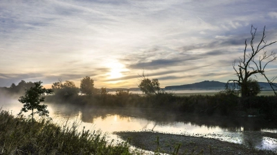 Es bleibt mild, aber in den Nächten wird Nebel zunehmend ein Thema. (Symbolbild) (Foto: Thomas Warnack/dpa)