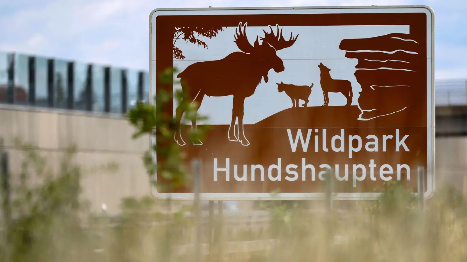 In Zeiten knapper Kassen ist das Erneuern der Schilder manchen Kommunen und Landkreisen zu teuer. (Archivbild) (Foto: Daniel Löb/dpa)