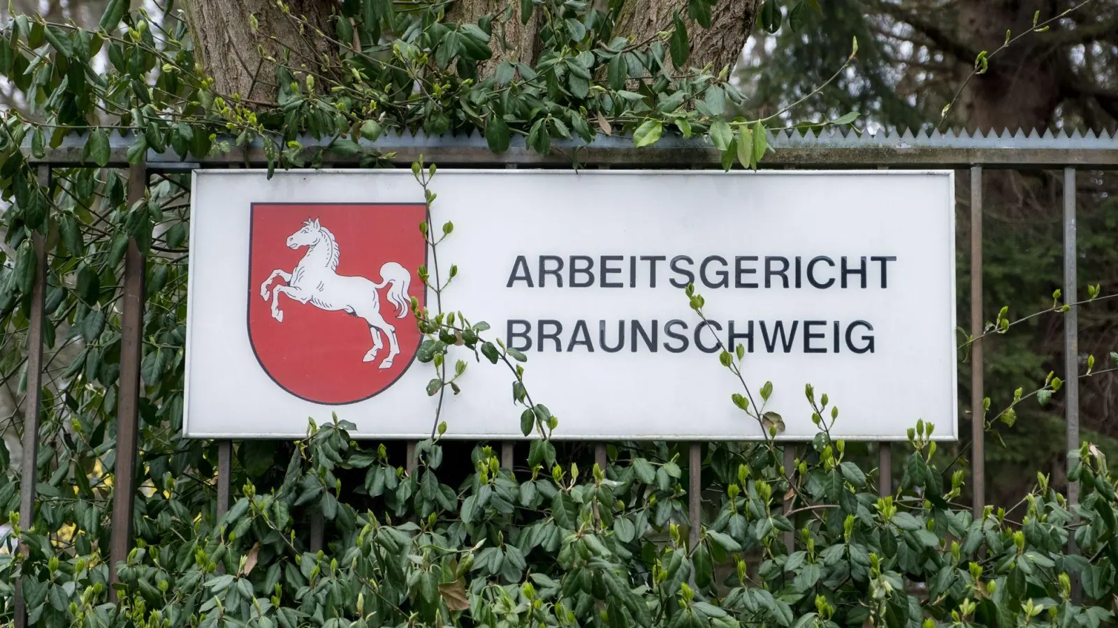 Das Arbeitsgericht Braunschweig hat eine Klage der AfD-nahen Arbeitnehmerorganisation Zentrum auf Zugang zum Werk der VW-Tochter Volkswagen Group Services in Isenbüttel abgewiesen. (Symbolbild) (Foto: Peter Steffen/dpa)