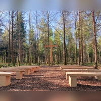 Am Andachtsplatz im „Ruhebaum Schillingsfürst” schaffen eigens gefertigte Holzbänke einen würdevollen Rahmen für Abschied und Erinnerung im Wald. (Foto: Cornelia Schmidt/Fürst Wallerstein)
