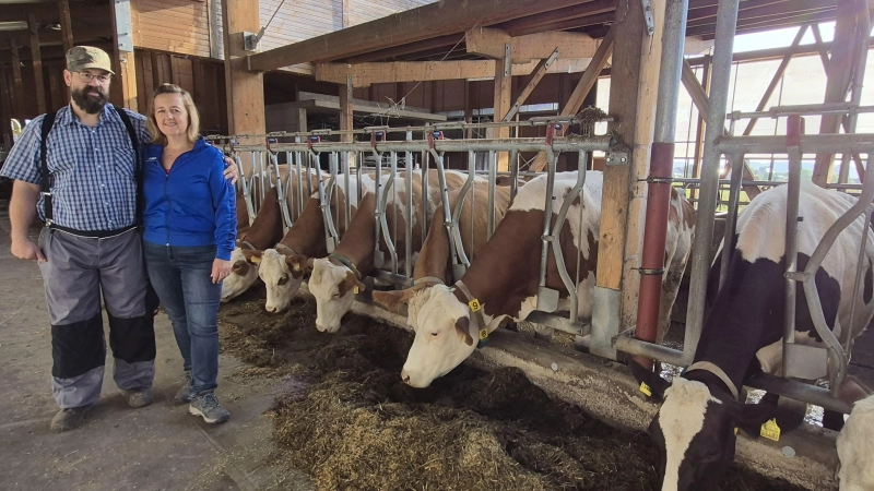 Andy und Ewelina Zeller führen einen Milchviehbetrieb in Insingen. Normalerweise sollten ihre Kühe Ende August auf der Weide stehen. Doch normal ist in diesem Sommer nichts. (Foto: Margit Schwandt)