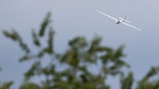 Ein Segelflieger fliegt im Hintergrund einer Baumkrone. (Foto: Friso Gentsch/dpa/Symbolbild)