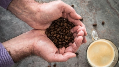 Von rechts nach links: Die „Bohnenübung“ ist eine einfache Methode, um Dankbarkeit und Achtsamkeit im Alltag zu fördern, morgens steckt man Bohnen in die rechte Tasche und verschiebt bei positiven Erlebnissen jeweils eine Bohne in die linke Tasche. Geht natürlich nicht nur mit Kaffeebohnen. (Foto: Christin Klose/dpa-tmn)