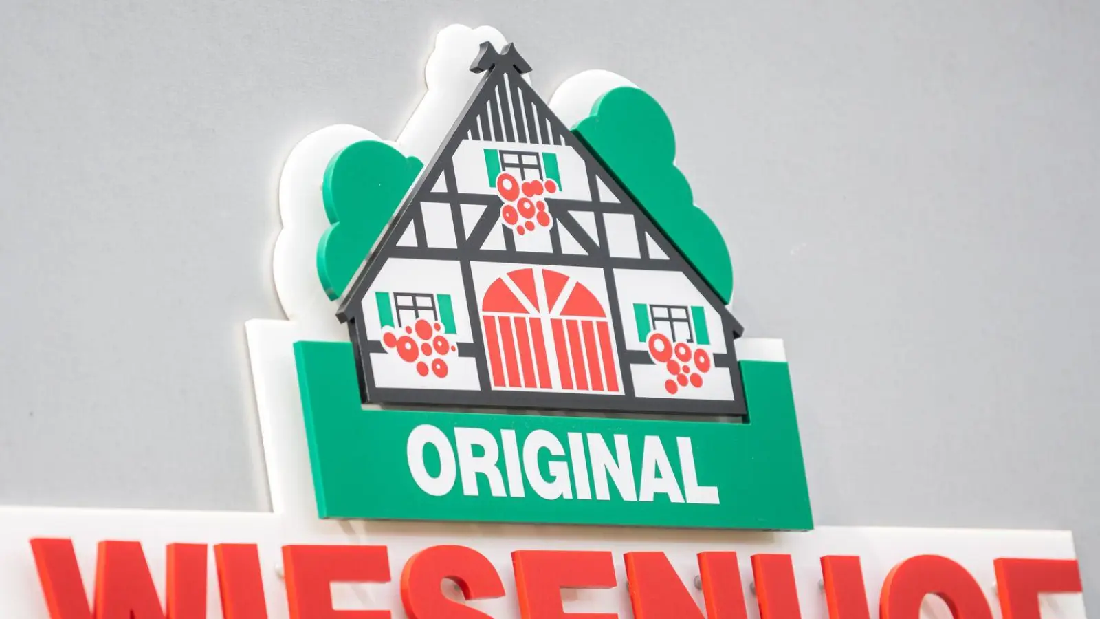 Vegetarische Würste von Wiesenhof sind wegen einer Verunreinigung zurückgerufen worden. (Archivbild) (Foto: Mohssen Assanimoghaddam/dpa)