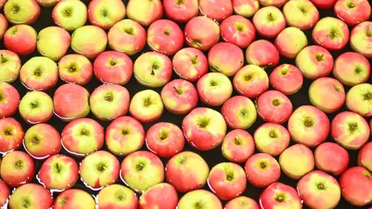 Äpfel der Sorte Elstar schwimmen im Großmarkt Salem-Frucht in Baden-Württemberg in einer Wasserstraße. (Foto: Felix Kästle/dpa)