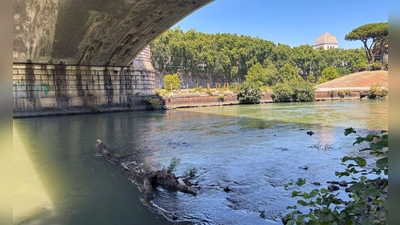 Wer will hier ins Wasser? Das Schwimmen im Tiber soll künftig wieder möglich sein. (Foto: Robert Messer/dpa)